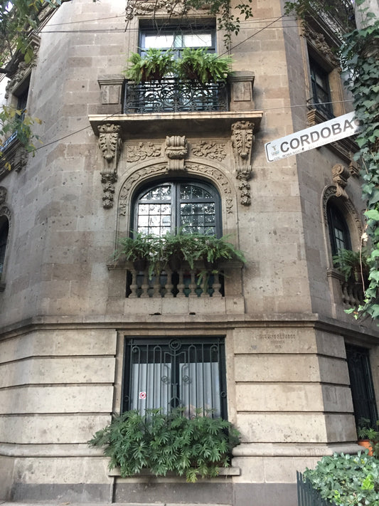 The CDMX List