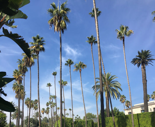 The LA List