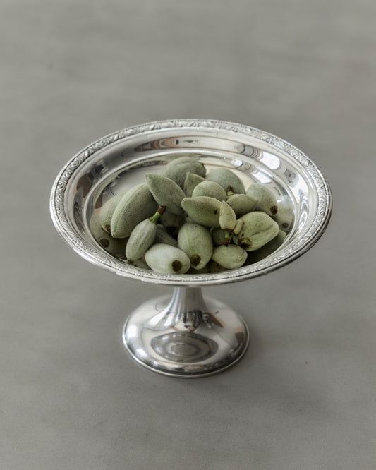 Candy Dish